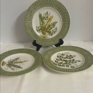 Botanical Green Dinner Plate Set of 3 8 1/2 inches